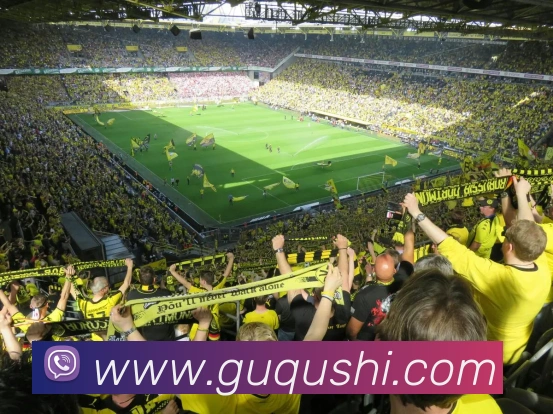 星空体育中国官方网站品牌故事